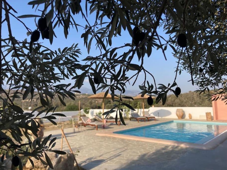 Villa Louloudia Stylish Luxury Villa With Private Pool بيتسيديا المظهر الخارجي الصورة