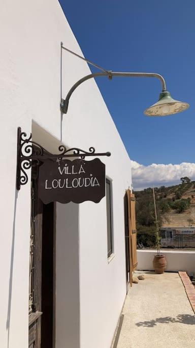 Villa Louloudia Stylish Luxury Villa With Private Pool بيتسيديا المظهر الخارجي الصورة