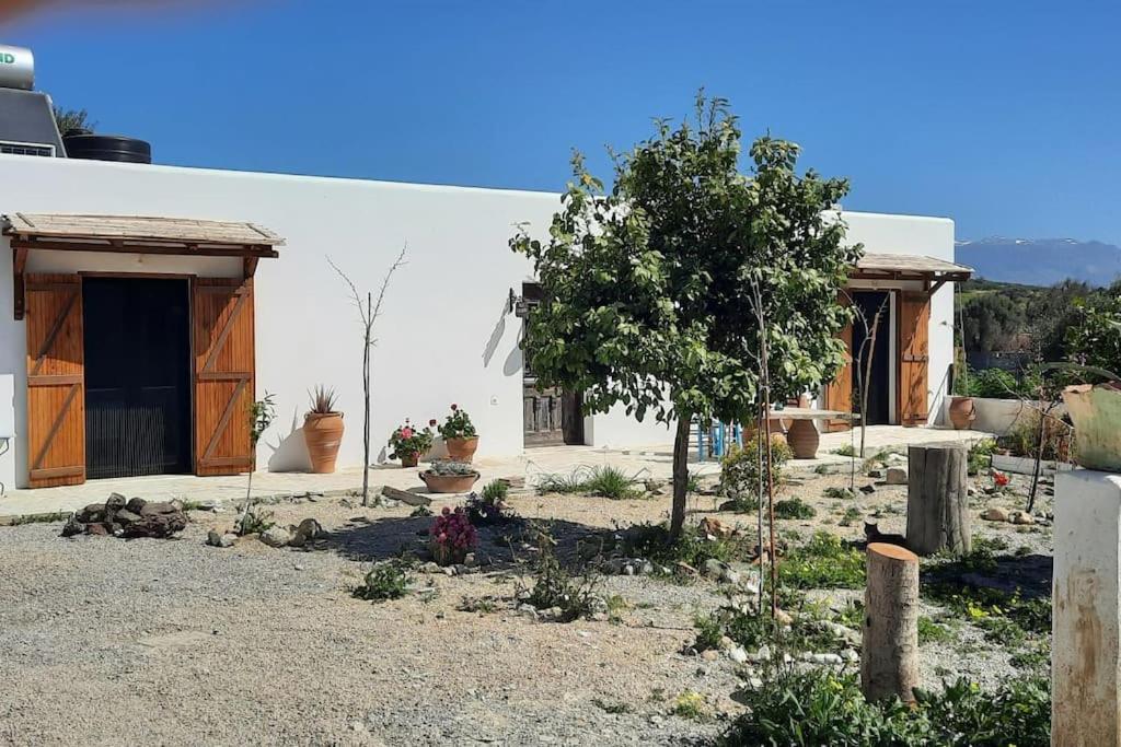 Villa Louloudia Stylish Luxury Villa With Private Pool بيتسيديا المظهر الخارجي الصورة