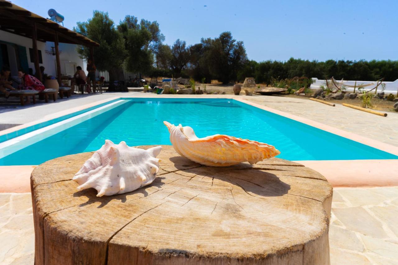 Villa Louloudia Stylish Luxury Villa With Private Pool بيتسيديا المظهر الخارجي الصورة